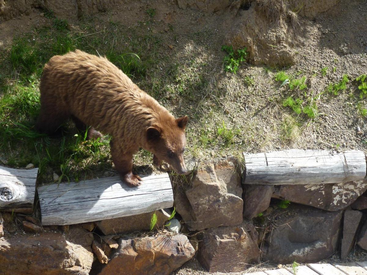 Little Black Bear Lodge/B&B Bridge Lake Εξωτερικό φωτογραφία