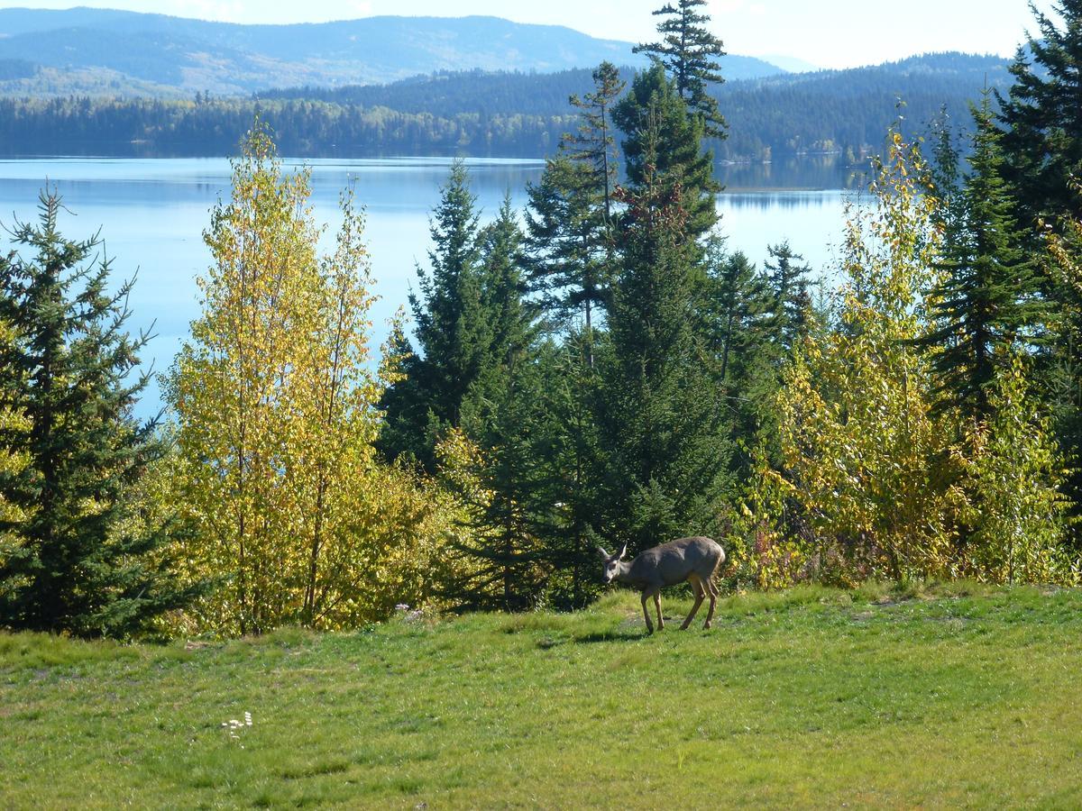 Little Black Bear Lodge/B&B Bridge Lake Εξωτερικό φωτογραφία