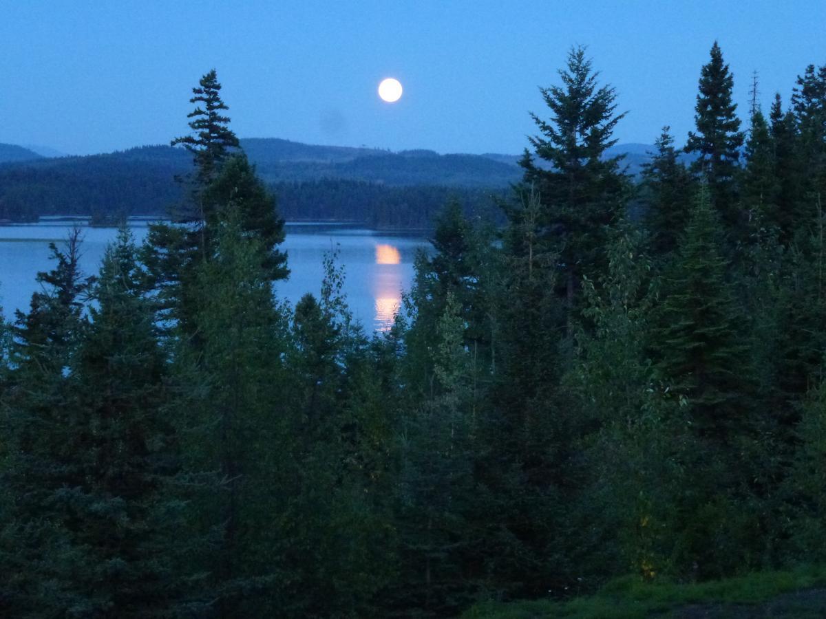 Little Black Bear Lodge/B&B Bridge Lake Εξωτερικό φωτογραφία