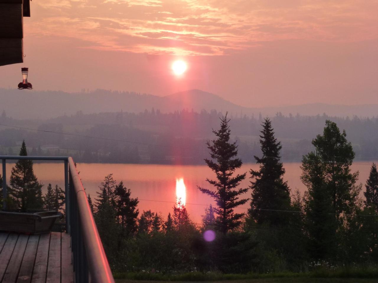 Little Black Bear Lodge/B&B Bridge Lake Εξωτερικό φωτογραφία