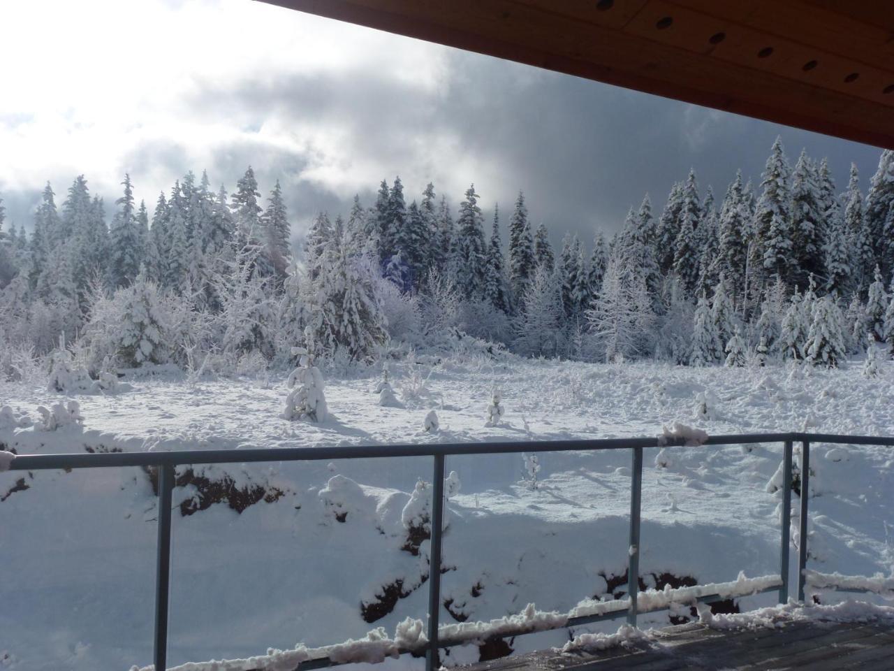 Little Black Bear Lodge/B&B Bridge Lake Εξωτερικό φωτογραφία