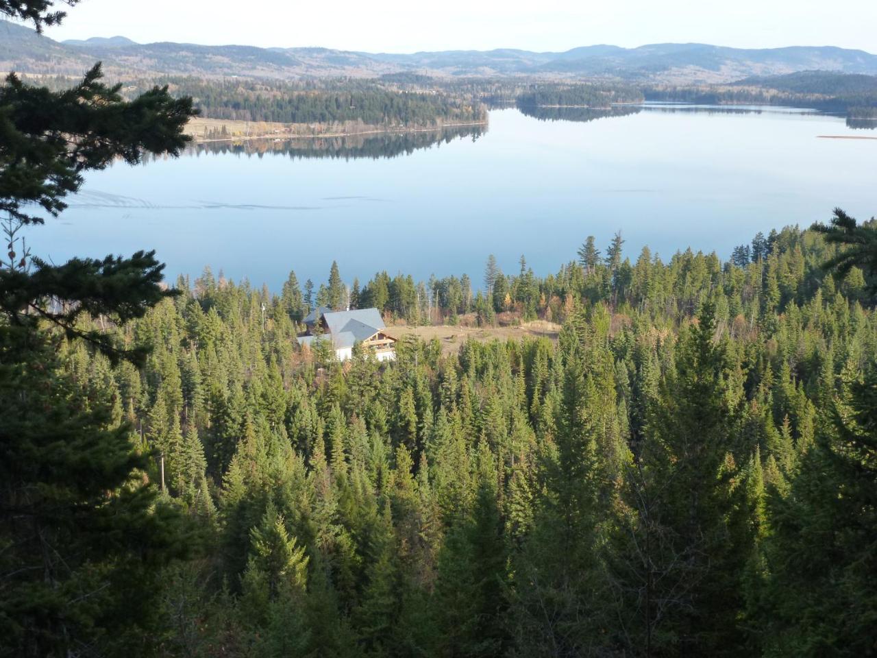 Little Black Bear Lodge/B&B Bridge Lake Εξωτερικό φωτογραφία